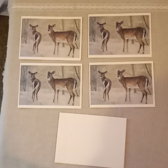 White Tail Deer 4 blank Cards 3 envelopes. 1992 Cindy Page Acorn designs - Picture 1 of 2